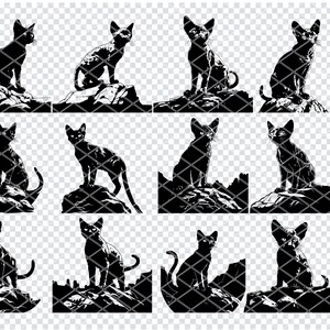 May include: A set of 12 black and white silhouette images of a cat sitting on a rock. The cat is facing forward and has its tail curled around its body. The images are perfect for use in crafting projects, scrapbooking, or digital design.