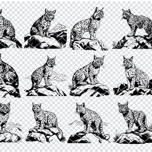 Op de afbeelding: Een set van 12 zwart-witte digitale illustraties van een bobcat die op een rots zit. De bobcats zijn getekend in een realistische stijl en kijken naar voren. De rotsen zijn getekend in een eenvoudige stijl en zijn gearceerd om ze een driedimensionaal uiterlijk te geven.