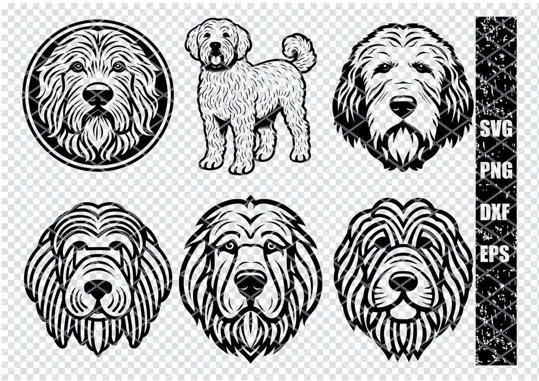 GOLDENDOODLE DOG SVG, Goldendoodle Svg Files for Cricut, Goldendoodle