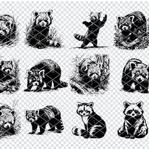 ROTER PANDA SVG, roter Panda-Svg-Dateien für Cricut, roter Panda Clipart, Laser Cut-Dateien