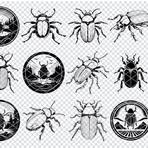 BEETLE SVG, BEETLE Bug Svg Files For Cricut, Beetle Clipart, Laser Cut Files