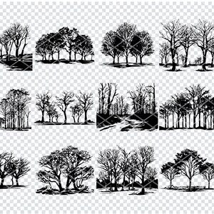 Arbre de Tupelo noir Svg, fichiers Svg d'arbre de gomme tupelo pour Cricut, Clipart arbre de Tupelo marais, fichiers découpés au Laser