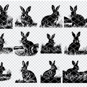 Könnte beinhalten: Ein Satz von neun Schwarzweiß-Silhouettenbildern von Kaninchen in verschiedenen Posen. Die Kaninchen sind in einer einfachen, stilisierten Art dargestellt, wobei ihre Ohren, Schwänze und Körper deutlich definiert sind. Die Bilder eignen sich für eine Vielzahl von kreativen Projekten, wie z. B. Scrapbooking, Kartenherstellung und digitales Design.