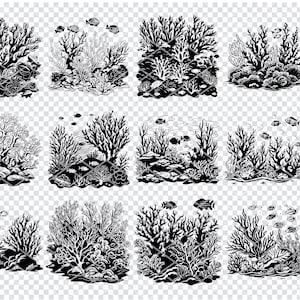 CORAL REEF COLONY Svg, Marine Coral Reef Ecosystem Svg Files For Cricut, Coral Reef Clipart, Laser Cut Files