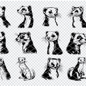 WEASEL SVG, FERRET Head Svg Files For Cricut, Mink Head Clipart, Laser Cut Files