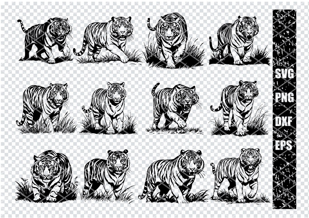 INDIAN BENGAL TIGER Svg, Wild Bengal Tiger Svg Files for Cricut, Wild