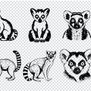 LEMUR SVG, LEMUR Svg Files For Cricut, Lemur Clipart, Lemur Laser Cut Files