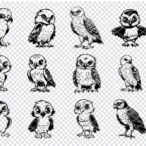 Op de afbeelding: Een set van 10 zwart-witte vectorillustraties van uilen en valken. De illustraties zijn in cartoon-stijl en tonen verschillende poses en uitdrukkingen.