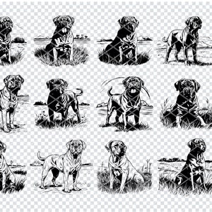 DOGUES De BORDEAUX HOND Svg, Dogues De Bordeaux Hondenras Svg-bestanden voor Cricut, Hondenliefhebber Clipart, Laser Cut Files