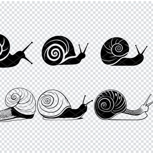 SNAIL SVG, SNAIL Archivos SVG para Cricut, Snail Clipart, Snail Laser Cut Files