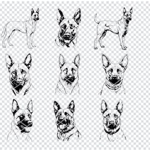 BELGISCHE MALINOIS HERDER Hond Svg, Belgische Mechelse politie Canine Svg-bestanden voor Cricut, Belgische Mechelse Herder Clipart, Laser Cut-bestanden
