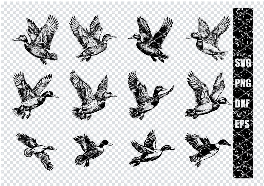 MALLARD DUCK SVG, Mallard Duck Svg Files for Cricut, Mallard Duck