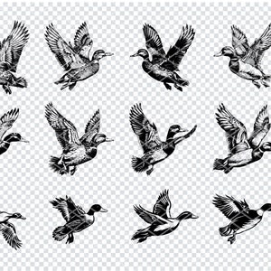 MALLARD DUCK SVG, arquivos SVG de pato-real para Cricut, clipart de pato-real, arquivos cortados a laser