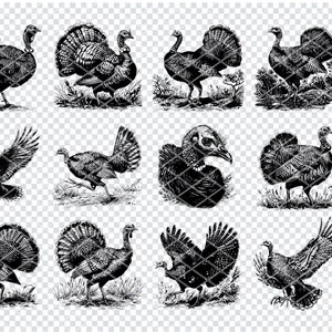 Może przedstawiać: Zbiór czarno-białych ilustracji przedstawiających indyki w różnych pozach. Niektóre indyki stoją, inne chodzą, a niektóre są w locie. Obraz zawiera również tekst "SVG, PNG, DXF, EPS".