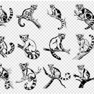 LEMUR SVG, LEMUR Svg Files For Cricut, Lemur Clipart, Lemur Laser Cut Files