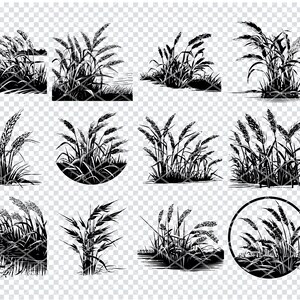 PALAY RICE PLANT Svg, Rice Paddy Svg Archivos para Cricut, Imágenes Prediseñadas de cultivos de grano de arroz, Archivos cortados por láser