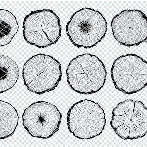 May include: A set of 12 black and white illustrations of tree rings. The illustrations are in a circular shape and show the growth rings of a tree.