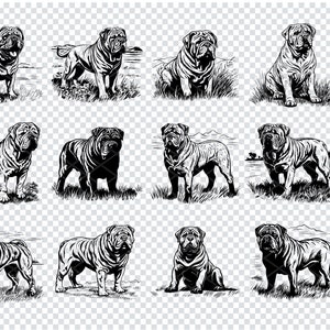 CHINESISCHER SHAR PEI Hund Plotterdatei, Shar-Pei Hund Clipart, Shar-Pei-Svg-Dateien für Cricut, Laser-Schnitt-Dateien