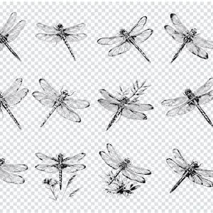 DRAGONFLY SVG, DRAGONFLY Svg Files For Cricut, Dragonfly Clipart, Laser Cut Files