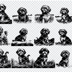 SHIH TZU DOG Svg, Shih Tzu Puppy Svg Svg-bestanden voor Cricut, Shih Tzu Canine, Laser Cut-bestanden