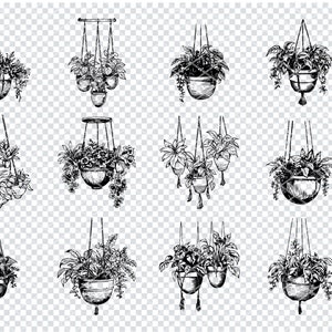 OPKNOPENDE PLANT SVG, hangende plantenbak Svg-bestanden voor Cricut, hangende plant clipart, laser gesneden bestanden