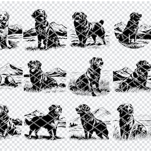 Svg de chien des Pyrénées, fichiers Svg de race de chien des Pyrénées pour Cricut, Clipart amateur de chiens, fichiers découpés au Laser