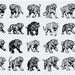 TIGRE À DENTS DE SABERT SVG, fichiers Svg de tigre à dents de sabre pour Cricut, Clipart de longe tigre, fichiers découpés au Laser