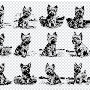 YORKSHIRE TERRIER SVG, Yorkshire Terrier Clipart, Yorkshire Terrier Dog Svg Files For Cricut