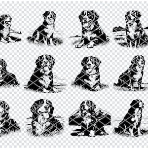 BERNER BERNESHUND SVG, Berner Sennenhund Rasse, Hundeliebhaber Clipart, Laser Cut-Dateien