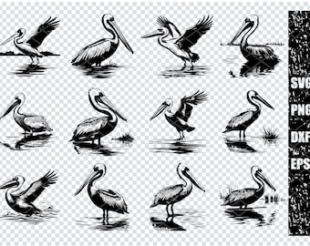 PELICAN WATER BIRD Svg, Pelican Seabird Svg Files For Cricut, Coastal Pelican Clipart, Coastal Bird Laser Cut Files