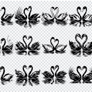 SWAN PAIR LAKE Svg, Cisne Aves Acuáticas Archivos Svg para Cricut, Elegante Cisne Pareja Clipart, Archivos cortados por láser