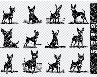 MINI PINSCHER DOG Svg, Mini Pinscher Breed Svg Files For Cricut, Mini Pinscher Dog Clipart, Laser Cut Files