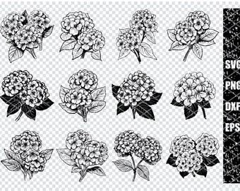Hydrangea Template Svg, Garden Flower SVG Cut File, Floral Cricut Svg ...