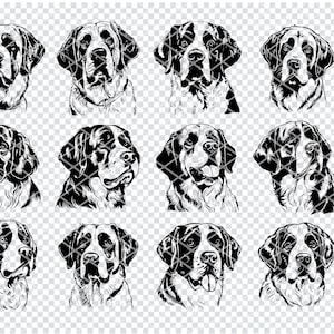 SAINT BERNARD DOG SVG, Alpine Bernhardiner SVG-Dateien für Cricut, große Sennenhund Clipart, Laser Cut-Dateien