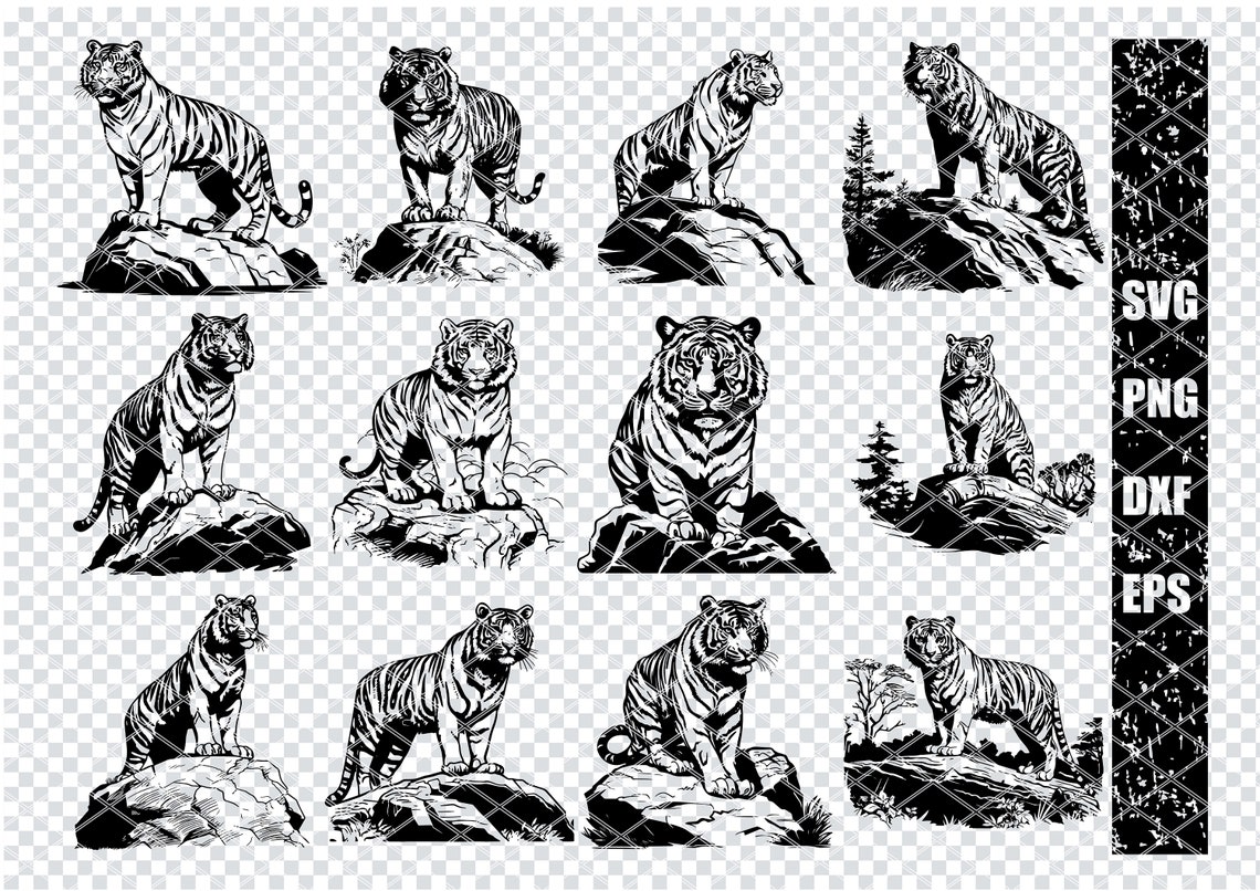 INDIAN BENGAL TIGER Svg, Wild Bengal Tiger Svg Files for Cricut, Wild