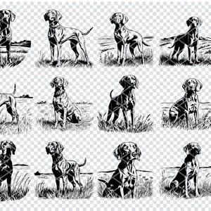 VIZSLA DOG Svg, Vizsla Dog Breed Archivos svg para Cricut, Dog Lover Clipart, Archivos cortados con láser