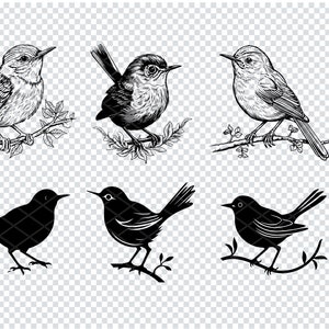 May include: A set of six black and white illustrations of birds. Three of the birds are detailed drawings with a branch and leaves. The other three are solid black silhouettes of the same birds.