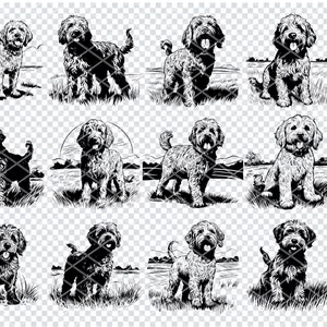 GOLDENDOODLE DOG Svg, fichiers Svg de race de chien Goldendoodle pour Cricut, Clipart amateur de chien, fichiers découpés au Laser