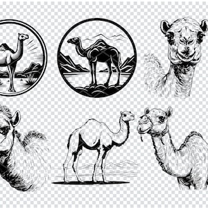 CAMEL SVG, file Svg CAMEL per Cricut, Clipart cammello, file tagliati al laser cammello
