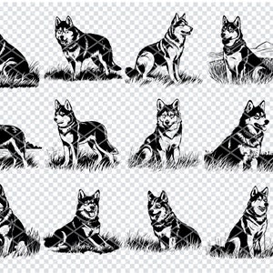 HUSKY DOG Svg, Husky Dog Breed Svg Files For Cricut, Dog Lover Clipart, Laser Cut Files