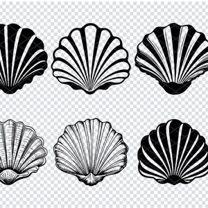 SEASHELL SVG, SEASHELL Svg Files For Cricut, Seashell Clipart, Seashell Laser Cut Files