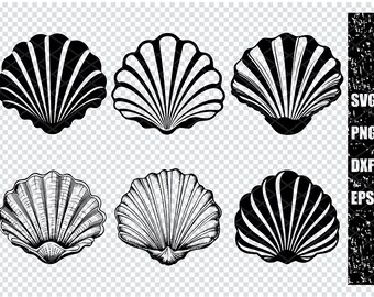SEASHELL SVG, SEASHELL Svg Files For Cricut, Seashell Clipart, Seashell Laser Cut Files