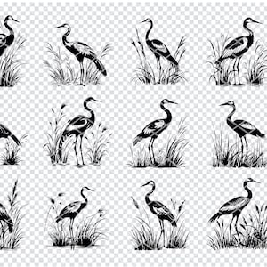 TALL GRUE BIRD Svg, Svg d'oiseau grue des marais pour Cricut, Clipart Aigrette des zones humides, fichiers découpés au Laser