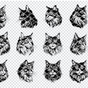 MAINE COON CAT Svg, arquivos gigantes do Maine Coon Cat Svg para Cricut, clipart de gato Coon Longhair, arquivos cortados a laser