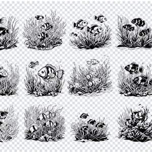 ANEMONEFISH SVG, archivos svg de PEZ payaso para Cricut, imágenes prediseñadas de peces de arrecife de coral, archivos cortados por láser