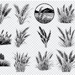 PAMPASS GRASS SVG, Pampass Grass Svg Files For Cricut, Pampass Grass Clipart, Laser Cut Files