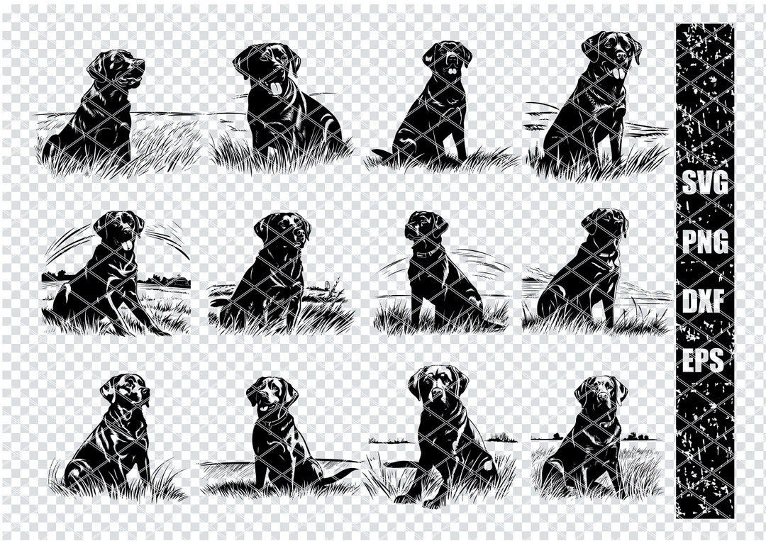 LABRADOR RETRIEVER DOG Svg, Labrador Retriever Dog Breed Svg Files for ...