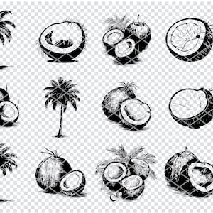 COCO SVG, COCO Archivos SVG para Cricut, Imágenes Prediseñadas de coco, Archivos cortados por láser
