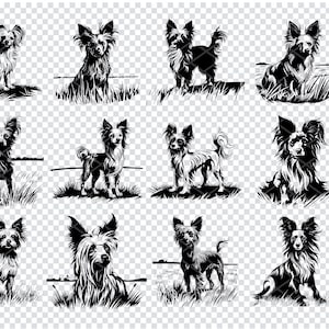 CHINESE CRESTED Dog SVG, Chinese Crested dog Clipart, Chinese Crested Svg Files For Cricut, Laser Cut Files