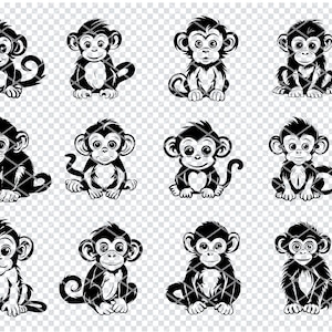 May include: Twelve black and white illustrations of baby monkeys in various poses. Each monkey is sitting with its legs crossed and has a tail.